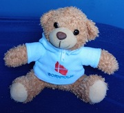 Miś maskotka dla dzieci 