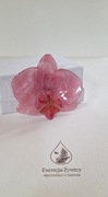 Broszka storczyk orchidea różowa - Esencja Żywicy