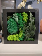 Obraz z mchu  20x20 cm 3D, prezent na święta