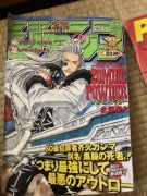 Jump nr 34 - j. japoński