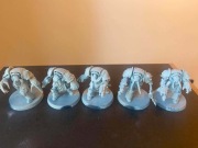 Chaos Space Marines - 5 x chaos terminators (red corsairs)
