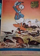 Tygodnik Przekrój nr 2034 z 3 czerwca 1984.