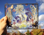 Witraż, dekor z suszonych kwiatów łąka niebieska