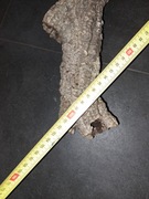 Drewno 100cm do akwarium terrarium stojak lina jutowa