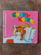 Chory kotek Stanisław Jachowicz