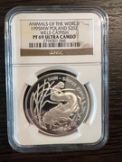 20 złotych 1995, Sum NGC PF69 Zwierzęta Świata