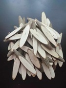 Plastry drewna pi100sztuk!!!