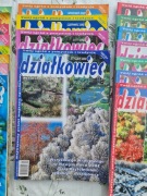 Działkowiec, 2002, nr 1,2,6,9