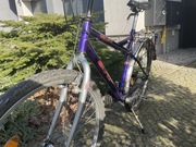 Rower exp 26” SHIMANO ALTUS