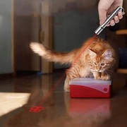 Laser Latarka LED USB Klips Dla Kota Kot Wzorki UV