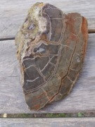 Septaria Nowy Kościół