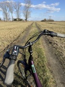 Miejski rower elektryczny damski