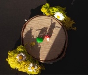 Kolczyki żaba i muchomor handmade