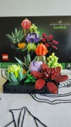 LEGO Botanicals Sukulenty #10309