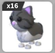 Persian Cat Roblox Adopt me