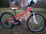 Kellys Kiter koła 24"