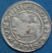 Zygmunt Stary, półgrosz litewski 1519, ciekawy i nienotowany