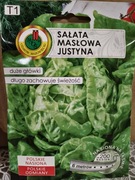 Sałata "Justyna" na taśmie 