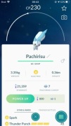 PACHIRISU REGIONAL POKEMON GO LVL 8 (SAFE TRADE)