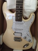 Gitara elektryczna + combo Laboga + procesor