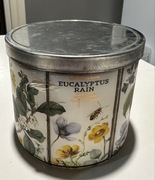 bath & body works eucalyptus rain