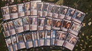 Nowy Zestaw kart LOTR TCG Władca Pierścieni - Elfy