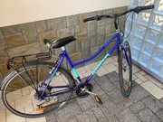 Rower damka używany.