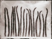 Ambrotypia - Hell's Kitchen 025