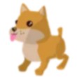 Shiba Inu Adopt Me AM