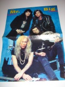 Mr. Big plakaty 12 szt