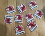 MAGNES IBUYPOWER HOLO Katowice 2014 CSGO CS2 major titan holo 