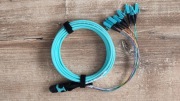 Patchcord MTP/MTO-PC to LC, OM4 8F - 15 szt.
