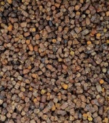 Pierzga 100 g Wielkopolska 