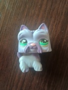 Littlest pet shop LPS unikat oryginał fioletowy piesek sznaucer petshop 