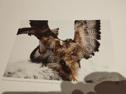 Pejzaże fotografa pejzażysty Macieja Fiszera portfolio 33