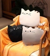 Maskotka poduszka z kocem pusheen dla dziewczynki 