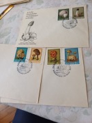 Grzyby niejadalne wymagające ochrony 1980
