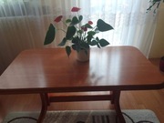 ława stół rozkładane z regulowaną wysokością