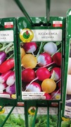 Rzodkiewka mieszanka nasiona 6g
