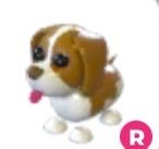 Brown Springer Spaniel R - Roblox Adopt Me