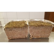 Pasztet      1 kg