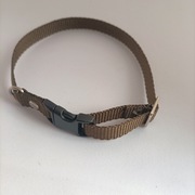 Obroża regulowana dla kota regulowana 25 cm