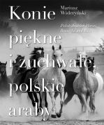 Konie piękne i zuchwałe, polskie araby Polish arabian horses Album