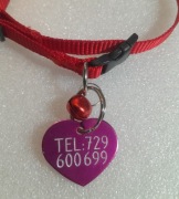 Adresówka dla małego psa kota gratis obroża grawerowany znaczek z numerem 