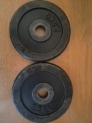 Zestaw obciążeń żeliwnych 2 x 2,5kg