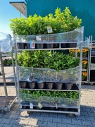 Wózek duński na kwiaty wynajem wózek CC