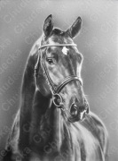 Portret ze zdjęcia na zamówienie