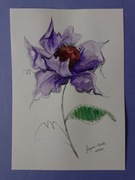 Obrazek z fioletowym kwiatem- akwarela plus cieńkopis.