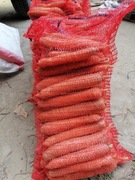 Marchew prosto od rolnika bez pośrednika 