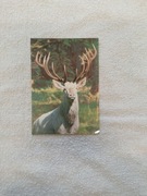 Pocztówka kolekcjonerska nr 128